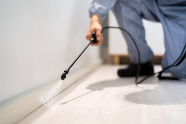 Licensed Pest Control service in Bannockburn, IL - Nex Pest Control