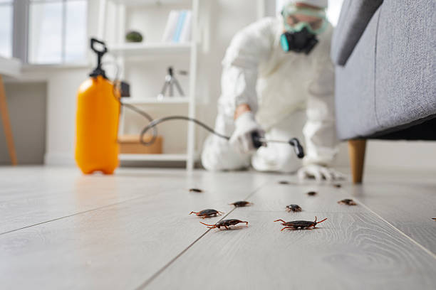 Trusted Mosquito Control service in Bannockburn, IL - Nex Pest Control