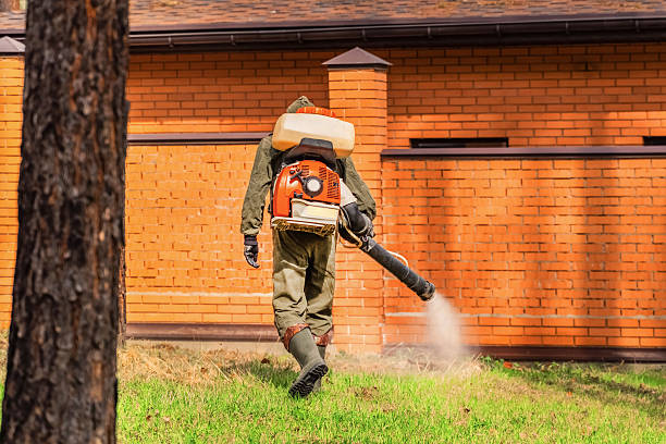 Trusted Bed Bug Control service in Bannockburn, IL - Nex Pest Control